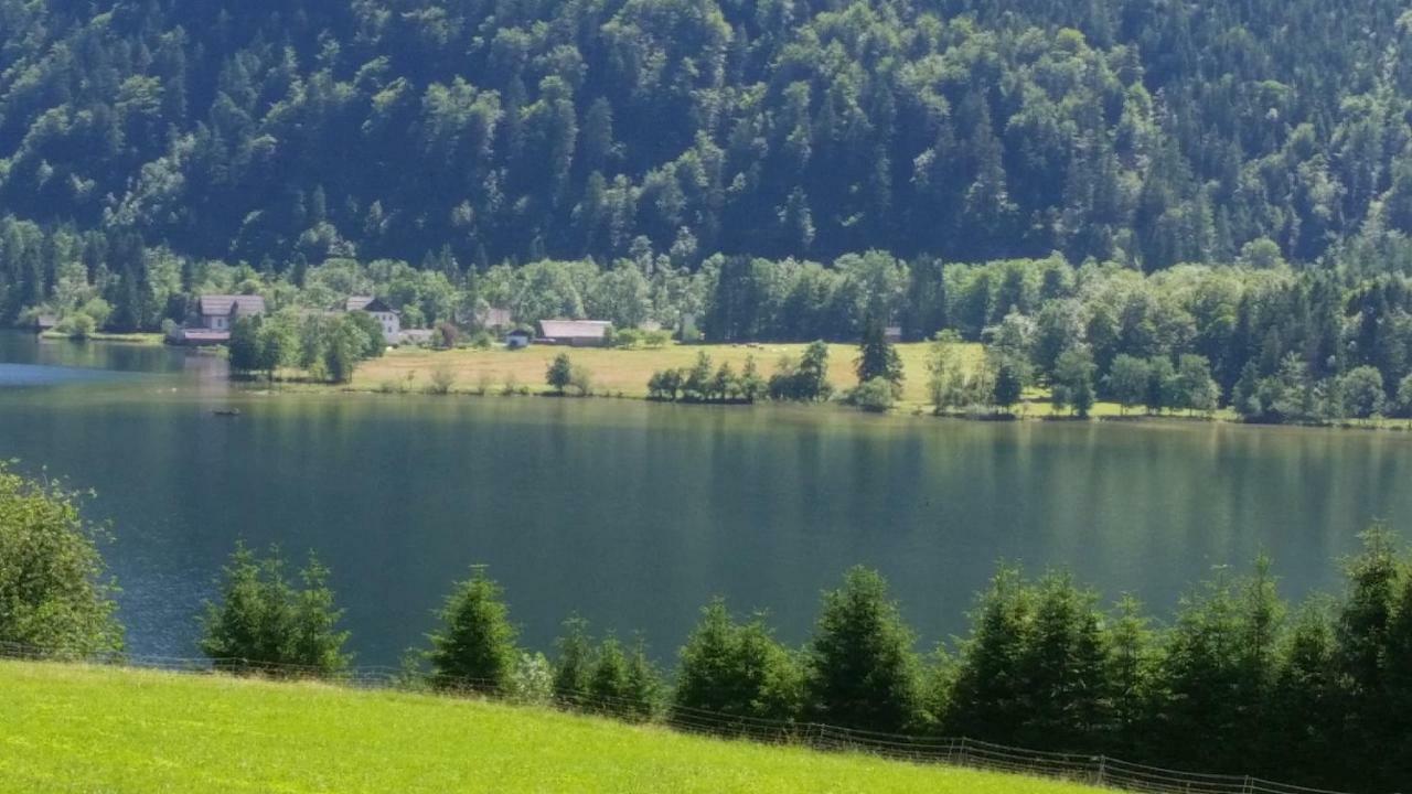 Ferienhaus-Cerny 巴德哥依斯恩 外观 照片